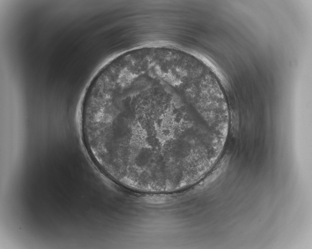 X0000101091046200807241004