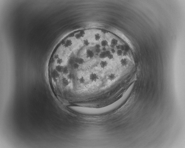 X0000101091047200807241004
