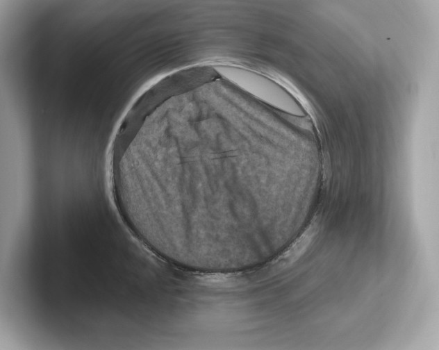 X0000101091048200807241004