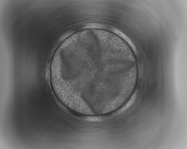 X0000101091049200807241004