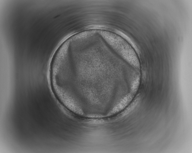 X0000101091050200807241004