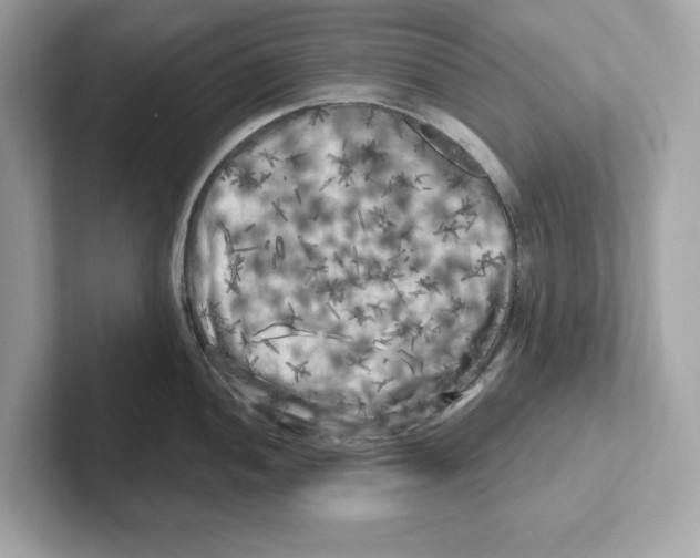 X0000101091052200807241004