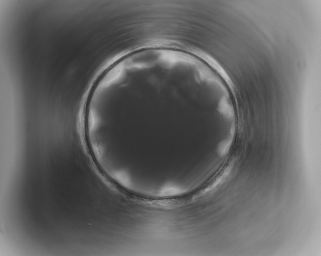 X0000101091053200807241004