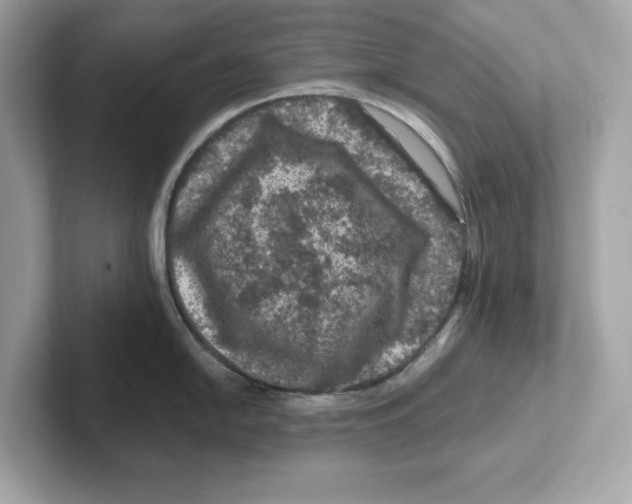 X0000101091054200807241004