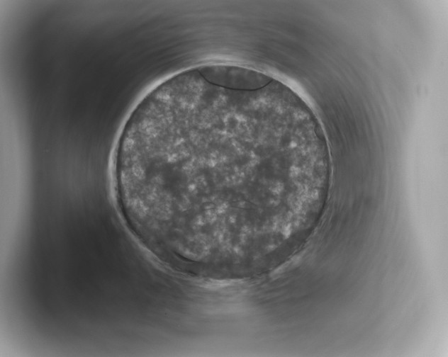 X0000101091056200807241004