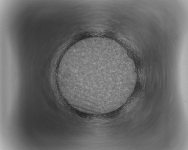 X0000101091057200807241003