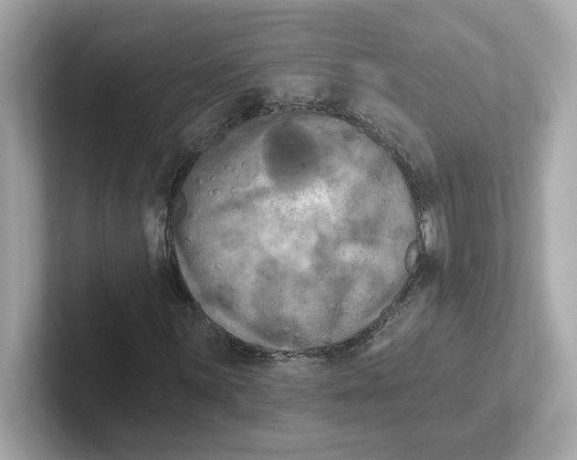 X0000101091059200807241003