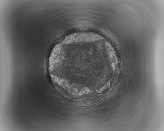 X0000101091060200807241003