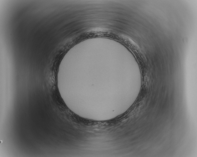 X0000101091062200807241003