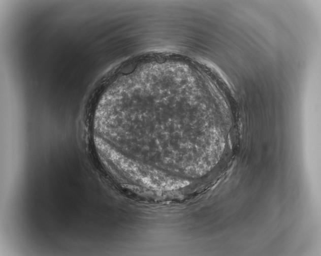 X0000101091064200807241003