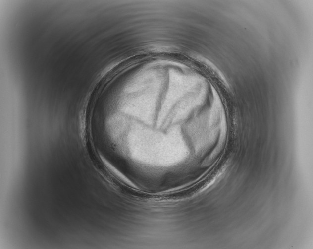 X0000101091065200807241003