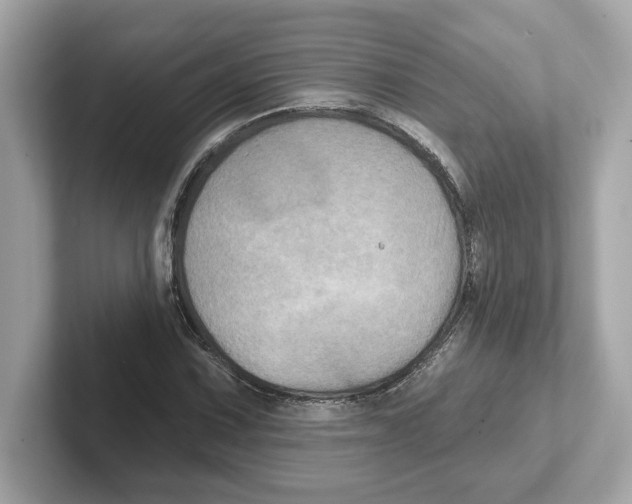 X0000101091067200807241003