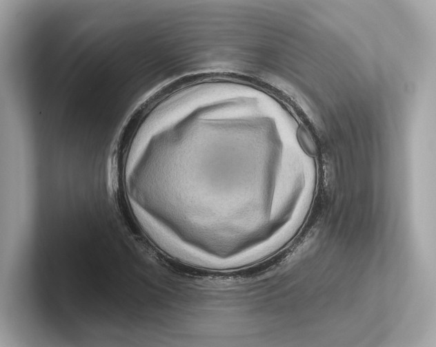 X0000101091069200807241003