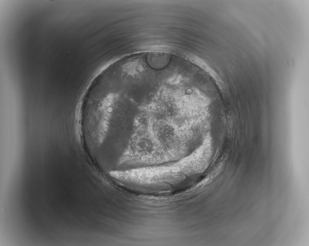 X0000101091071200807241003