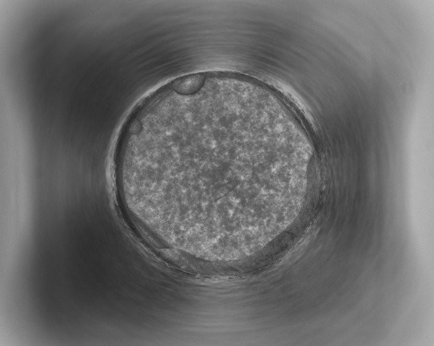 X0000101091072200807241003