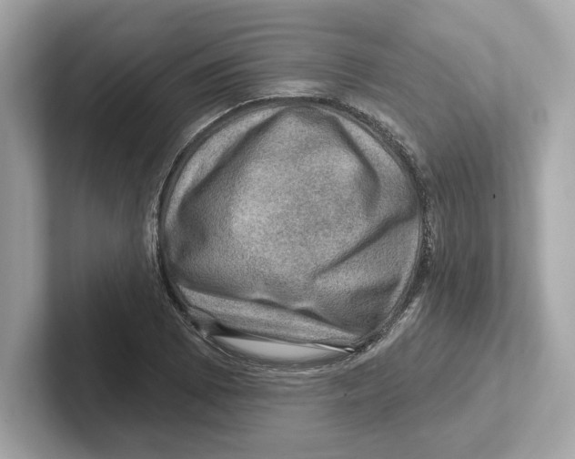 X0000101091073200807241003