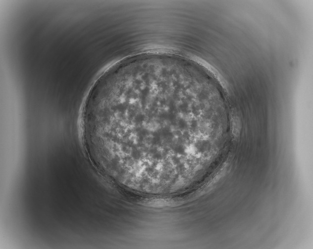 X0000101091074200807241003