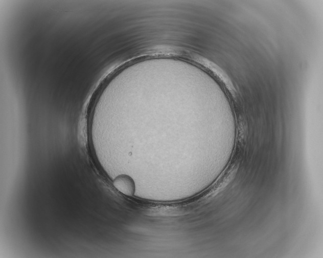 X0000101091075200807241003