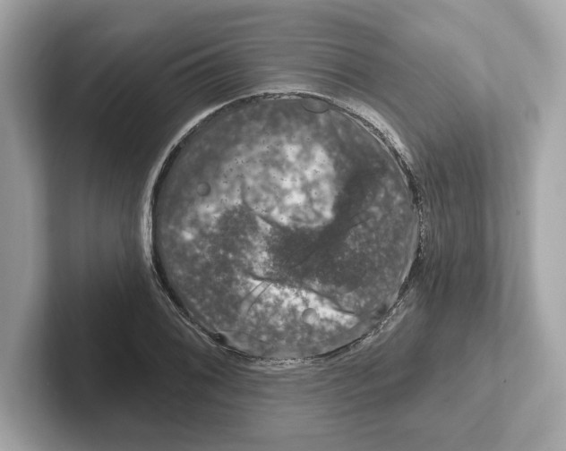 X0000101091076200807241003