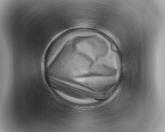 X0000101091077200807241003