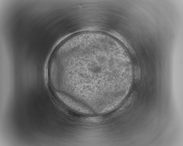 X0000101091078200807241003