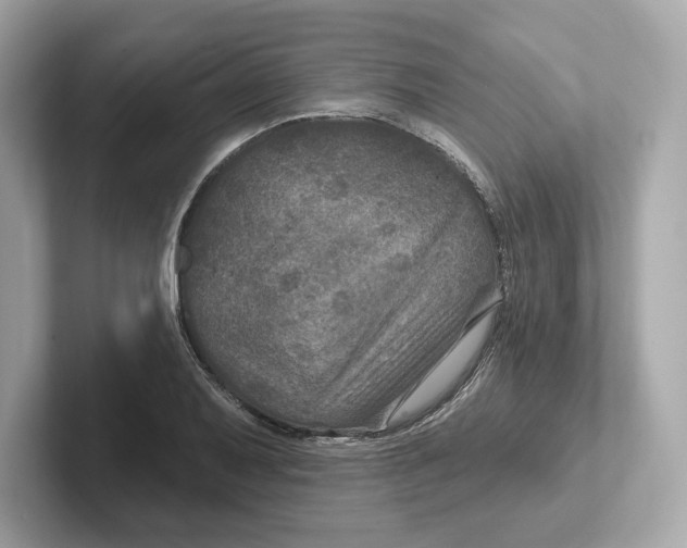 X0000101091079200807241003