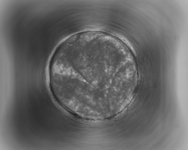 X0000101091080200807241003