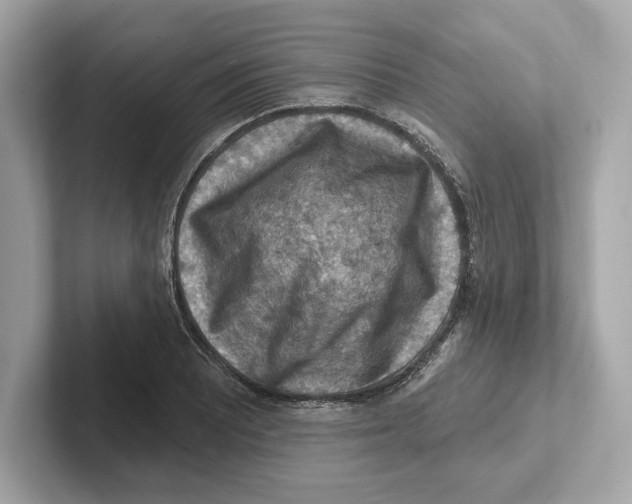 X0000101091081200807241003