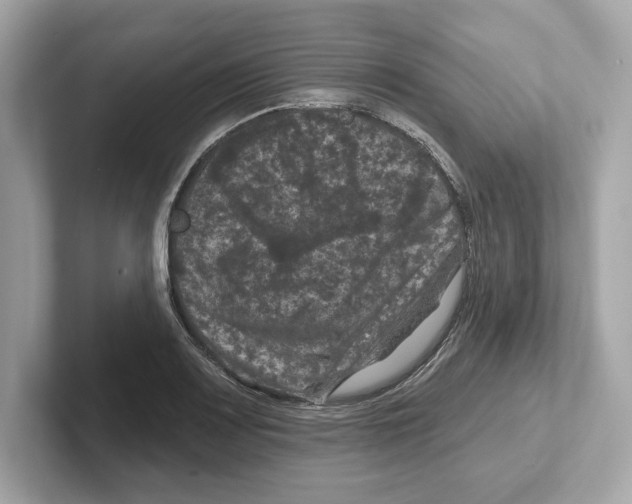 X0000101091083200807241003