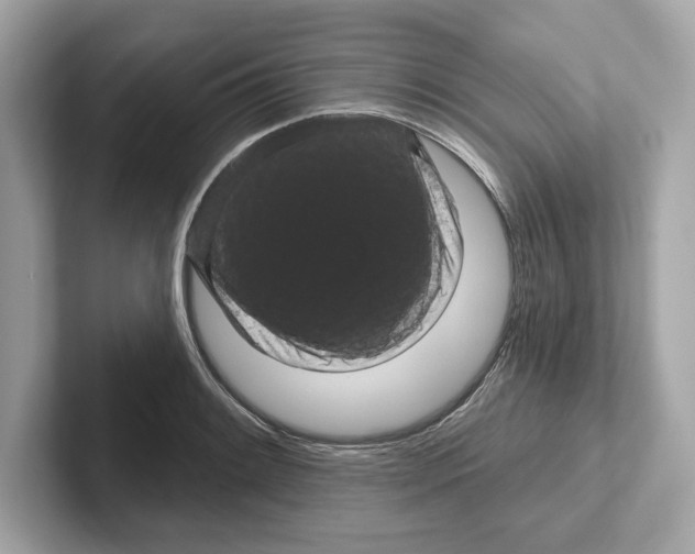 X0000101091084200807241003