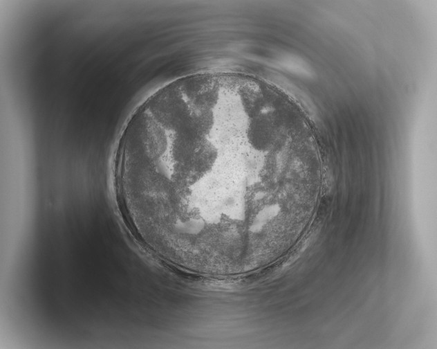 X0000101091086200807241003