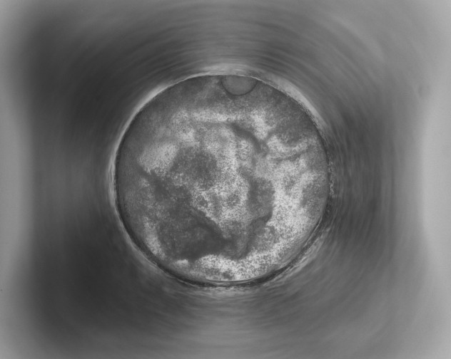 X0000101091087200807241003