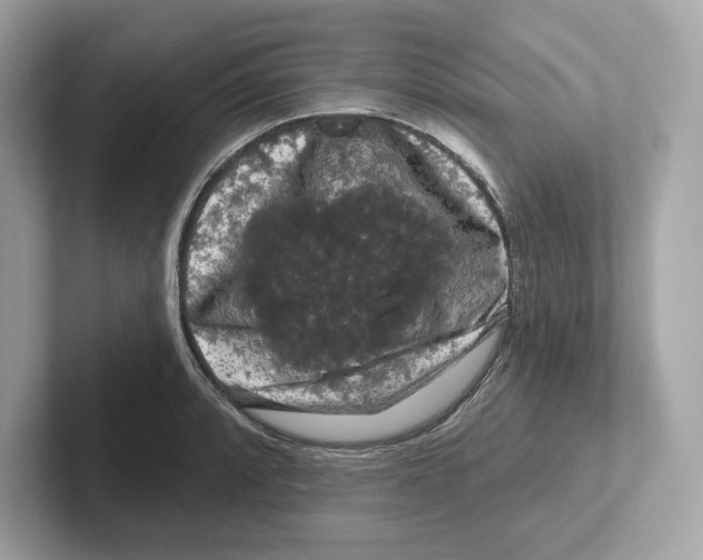 X0000101091088200807241003