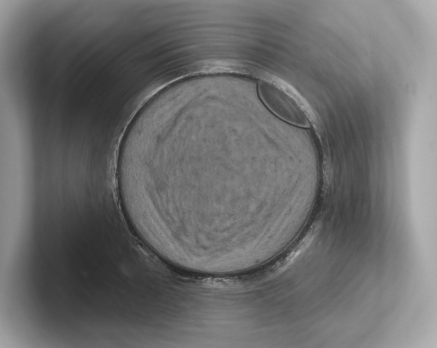 X0000101091089200807241003