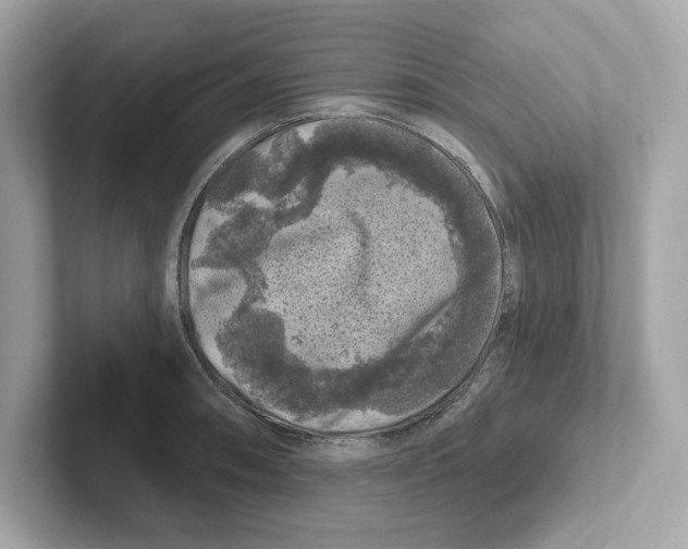 X0000101091090200807241003