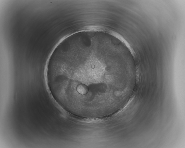 X0000101091091200807241003