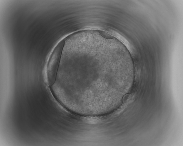 X0000101091092200807241003