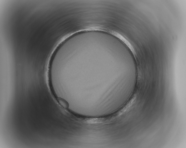 X0000101091093200807241003