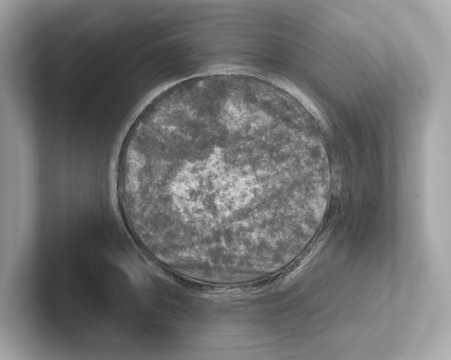 X0000101091094200807241003