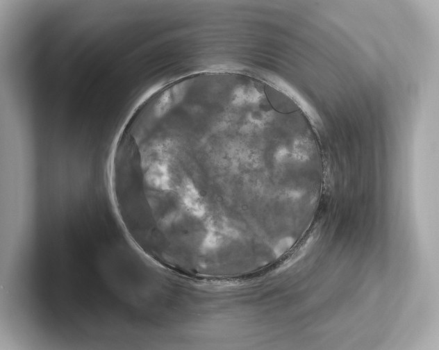 X0000101091095200807241003