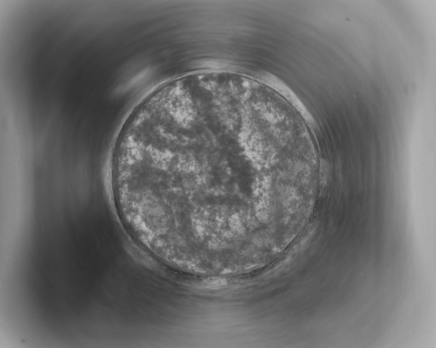 X0000101091098200807241003