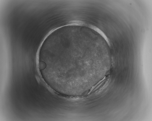 X0000101091099200807241003