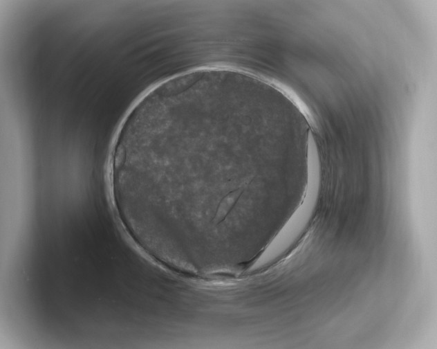 X0000101091100200807241003