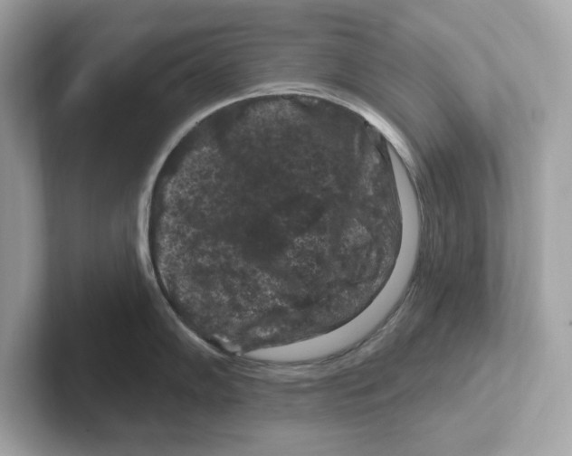 X0000101091102200807241003