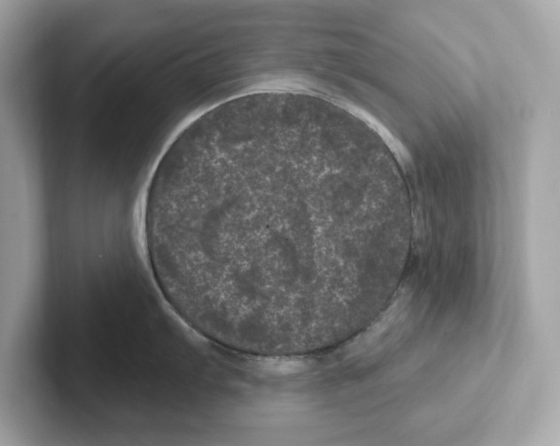 X0000101091103200807241003