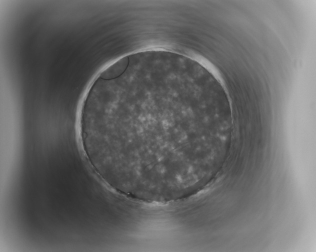 X0000101091104200807241003