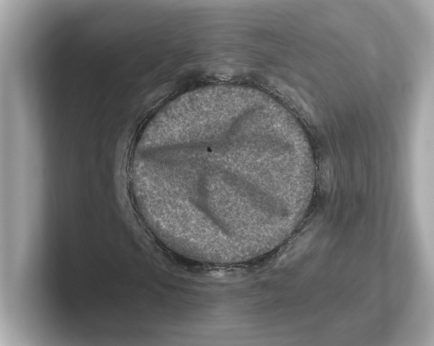 X0000101091105200807241002