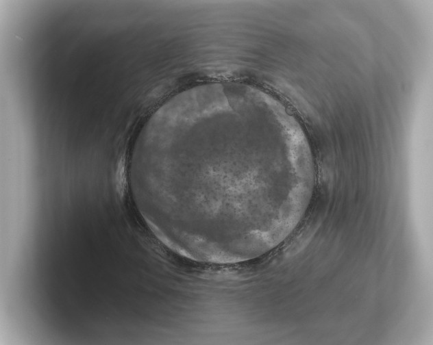 X0000101091106200807241002