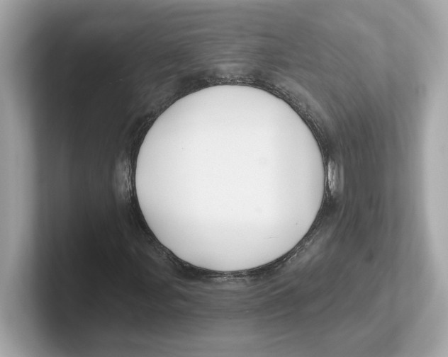 X0000101091107200807241002