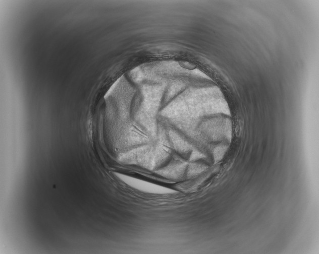 X0000101091108200807241002